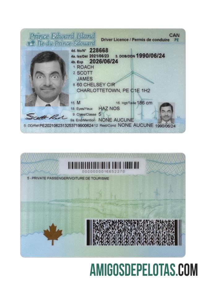 Carta de condução da Ilha do Príncipe Eduardo no Canadá amostra